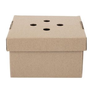 Cajas de Hamburguesas Cuadradas Plegables - Lote de 100 - Fiesta Green