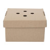 Cajas de Hamburguesas Cuadradas Plegables - Lote de 100 - Fiesta Green
