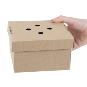 Cajas de Hamburguesas Cuadradas Plegables - Lote de 100 - Fiesta Green