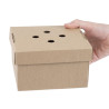 Cajas de Hamburguesas Cuadradas Plegables - Lote de 100 - Fiesta Green