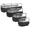 Vitrina de Servicio Premium para Pescado Fresco - 480 W