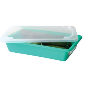 Bac Plat HACCP con Tapa y Rejilla - 3 L - Verde - Gilac