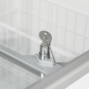 Vitrina de Helado Estática - 9 x 5 L