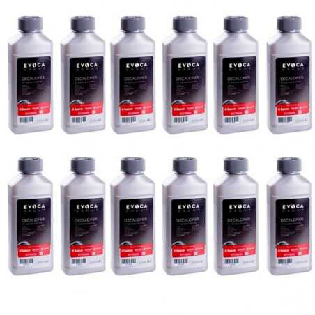 Coffee Machine Descaler 250 ml - Pack of 12 Bottles - Saeco