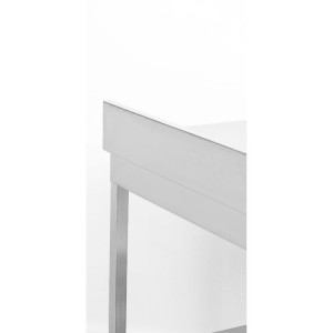 Mesa Inox 1600x600 mm Respaldo y Estante Bajo