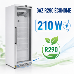 Armoire Congelación 400 L Vidriada Frío Ventilado -18/-22°C
