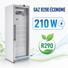 Armoire Congelación 400 L Vidriada Frío Ventilado -18/-22°C