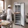 Armoire de Congélation 380 L Frío Ventilado -18/-22 °C