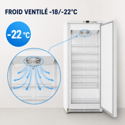 Armario de Congelación 590 L Frío Ventilado -18/-22°C
