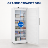 Armario de Congelación 510 L Ventilado -18/-22°C Blanco