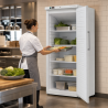 Armoire Refrigerada Ventilada 527 L +2/+8 °C — Puerta Llena