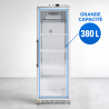 Armoire Refrigerada Positiva Acristalada 380 L 0/+8°C