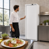Armoire Refrigerada Positiva 380 L 0/+8°C Puerta Llena