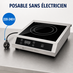 Placa de Inducción Pro 3500 W 8 Niveles Temporizador | Dynasteel