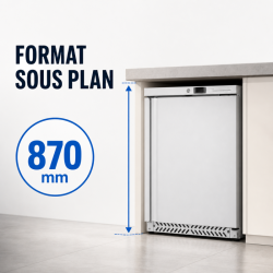 Armoire Refrigerada Negativa Inox 170 L -18°C Bajo Plan