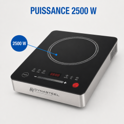 Placa de Inducción Pro 2500 W — 80-240°C, Digital