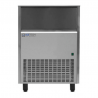 Máquina de Hielo - 79 Kg - Ice Tech