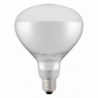 Bulb for infrared heat lamp - Brand HENDI - Fourniresto