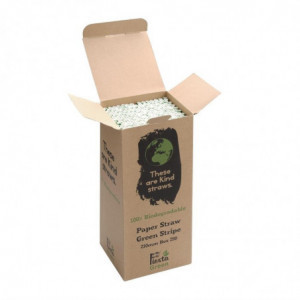 Pajitas de papel compostables a rayas verde y blanco de 210 mm - Paquete de 250 - Fiesta Green - Fourniresto