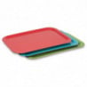 Tray in Trapezoid Polyester GN 500x325mm Green - Roltex - Fourniresto