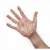 Guantes desechables transparentes - Lote de 100 - FourniResto