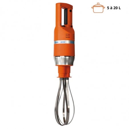 Immersion Blender Master FT 91 Whisk - FourniResto.com