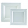 Square Bagasse Plate - 200 x 200 mm - Pack of 50