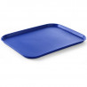 Bandej Rectangular Fast Food - Modelo Grande 450 x 350 mm - Azul