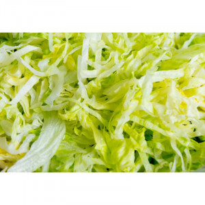 Disco para Rallar 3 mm para Cortador de Verduras Eléctrico - Dynamic