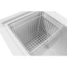 Congelador Arcón con Tapa de Acero Inoxidable - 581 L - Polar