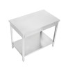Mesa de Inox 1600 x 600 mm con Estante Inferior — AISI 201