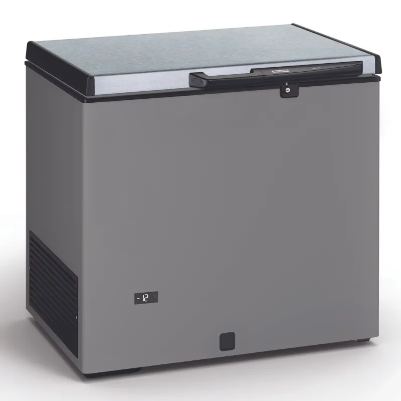 Congelador horizontal de acero inoxidable con tapa de acero inoxidable - 220 L