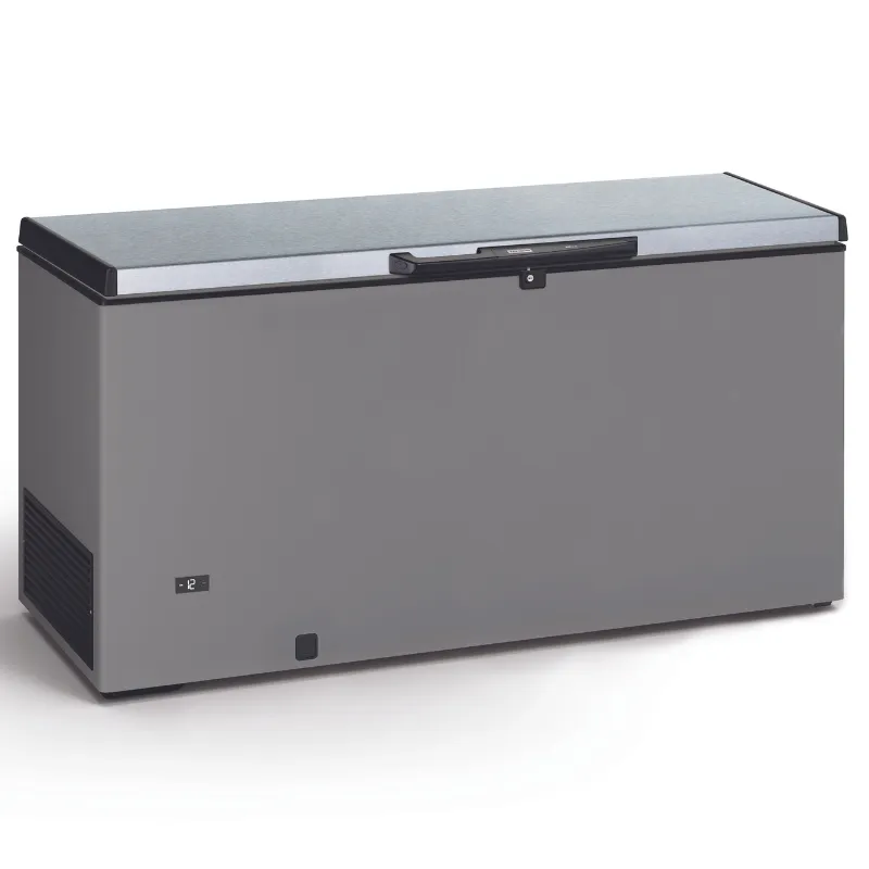 Congelador horizontal de acero inoxidable con tapa de acero inoxidable - 500 L
