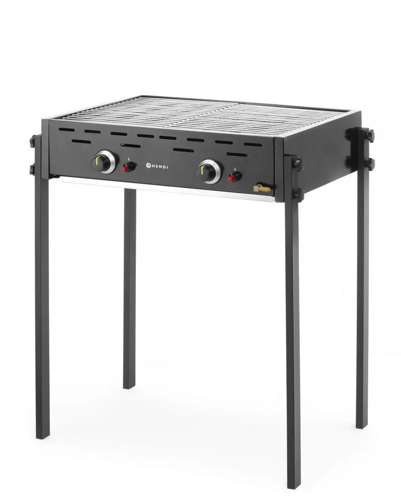 Barbacoa de 2 quemadores a gas Grill
