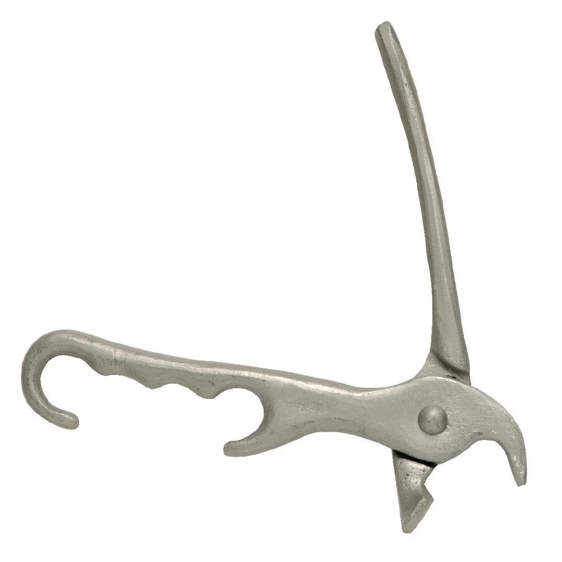 Pinza plana