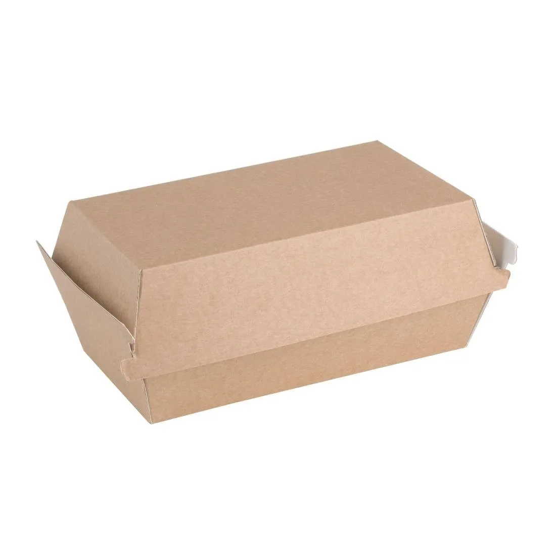 Pequeñas cajas con tapa de bisagra compostables de 172 mm - Lote de 200
