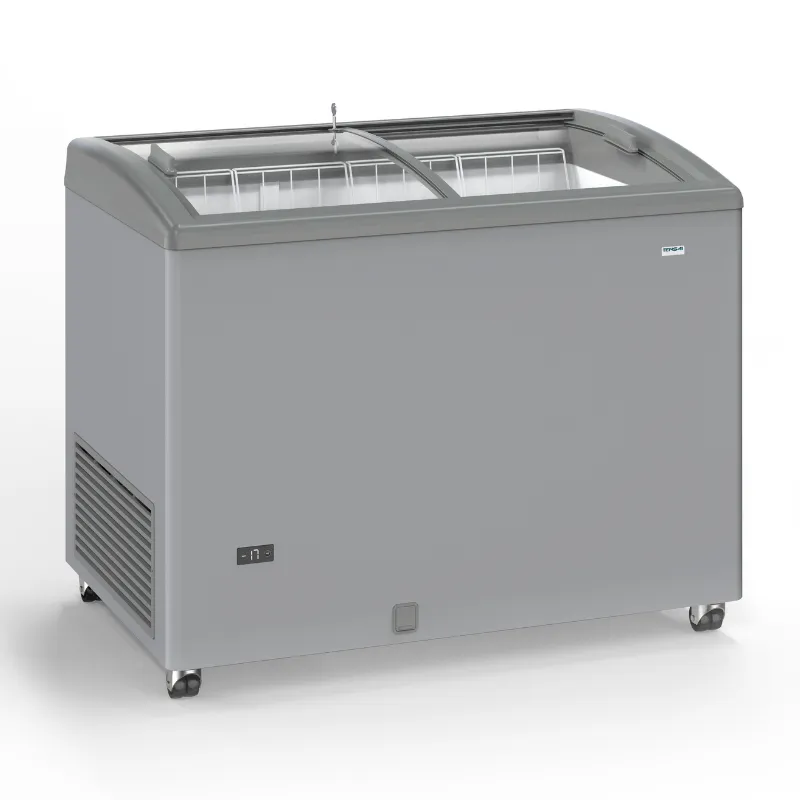 Congelador Aspecto Inox con Puertas Correderas de Vidrio - 300 L