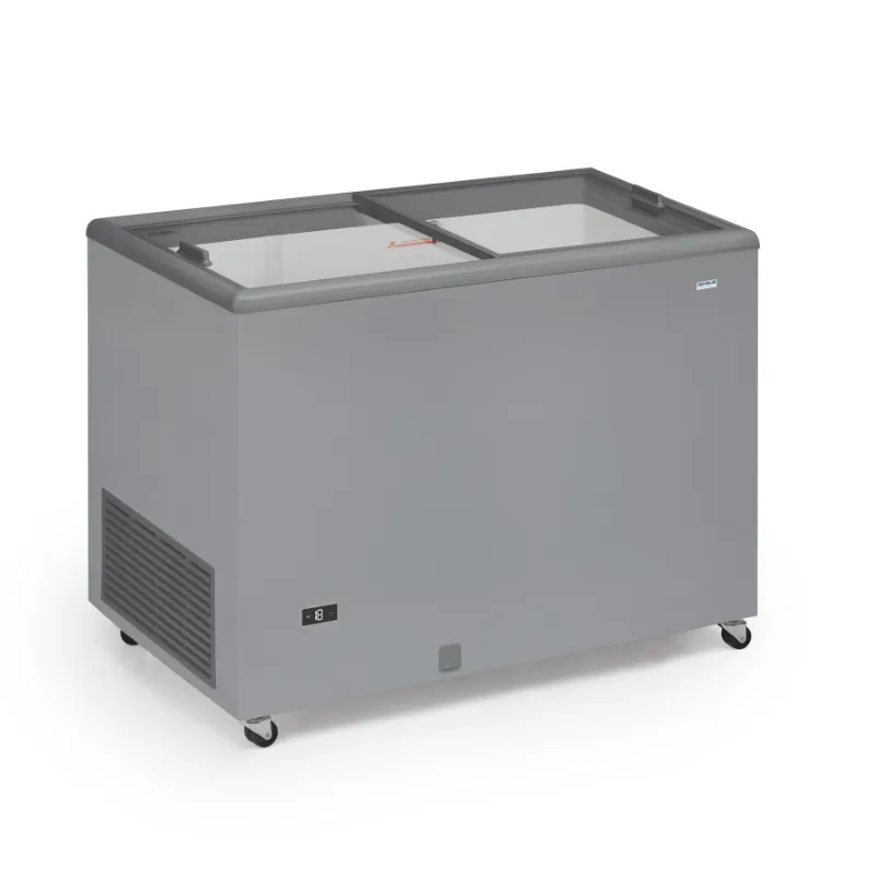 Congelador Puertas Correderas de Cristal - 300 L
