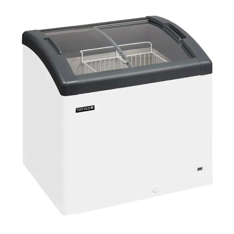 Congelador de Helados - 161 L