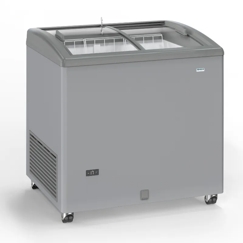 Congelador Aspecto Inox con Puertas Correderas de Cristal - 170 L - Reacondicionado