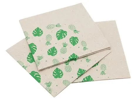 Serviette Papier Recyclé - 30 x 30 cm 2 Plis - Lot de 50