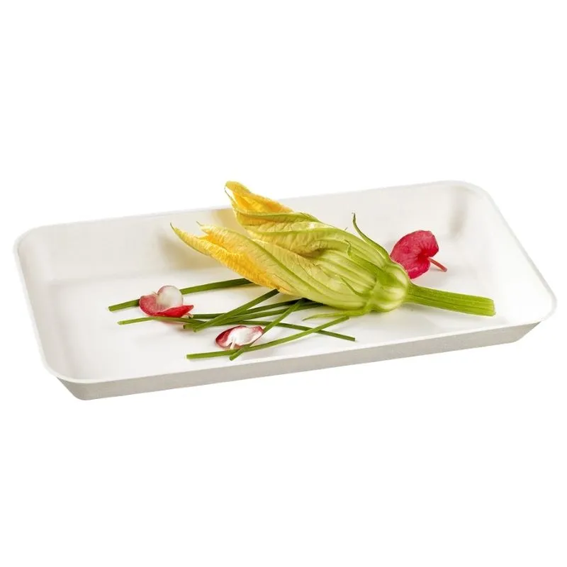 Plato Canopy Blanco - 200 x 100 mm - Lote de 50