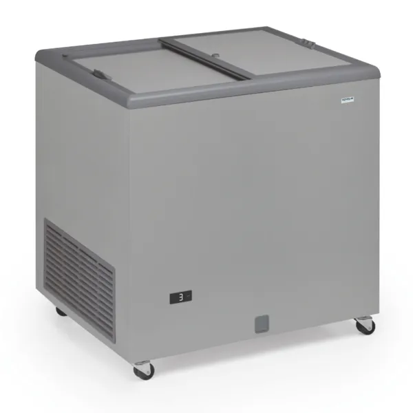 Congelador Arcón Profesional Aspecto Inox y Tapa Opaca - 220 L