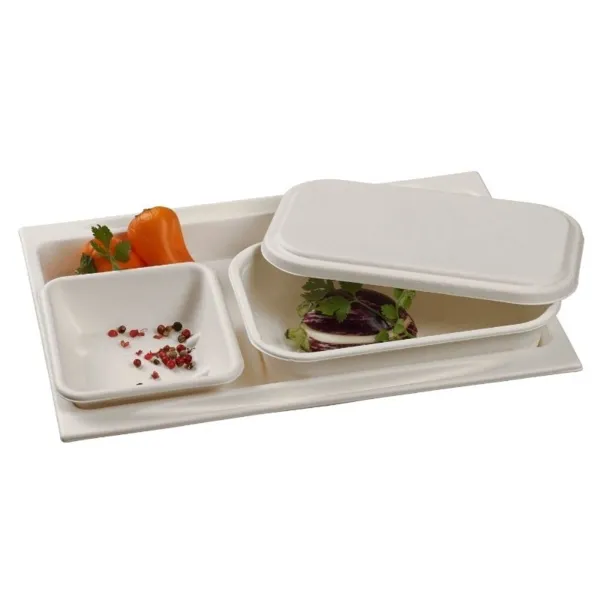 Bandeja de comida de pulpa - 273 x 194 mm - Lote de 50