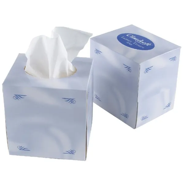 Cube de Mouchoirs en Papier 2 Plis - Lot de 24